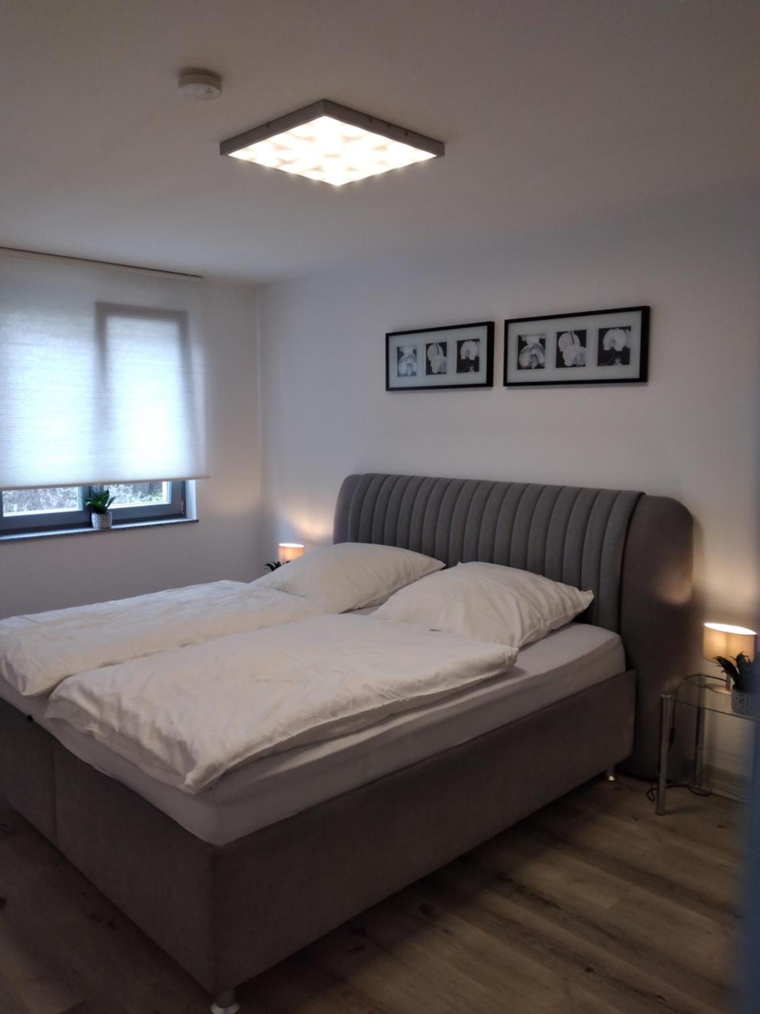Ferienwohnung Trunk Direkt An Den Weinbergen, Parkplatz, Terrasse Mit Grill Und Lounge Roschbach Dış mekan fotoğraf